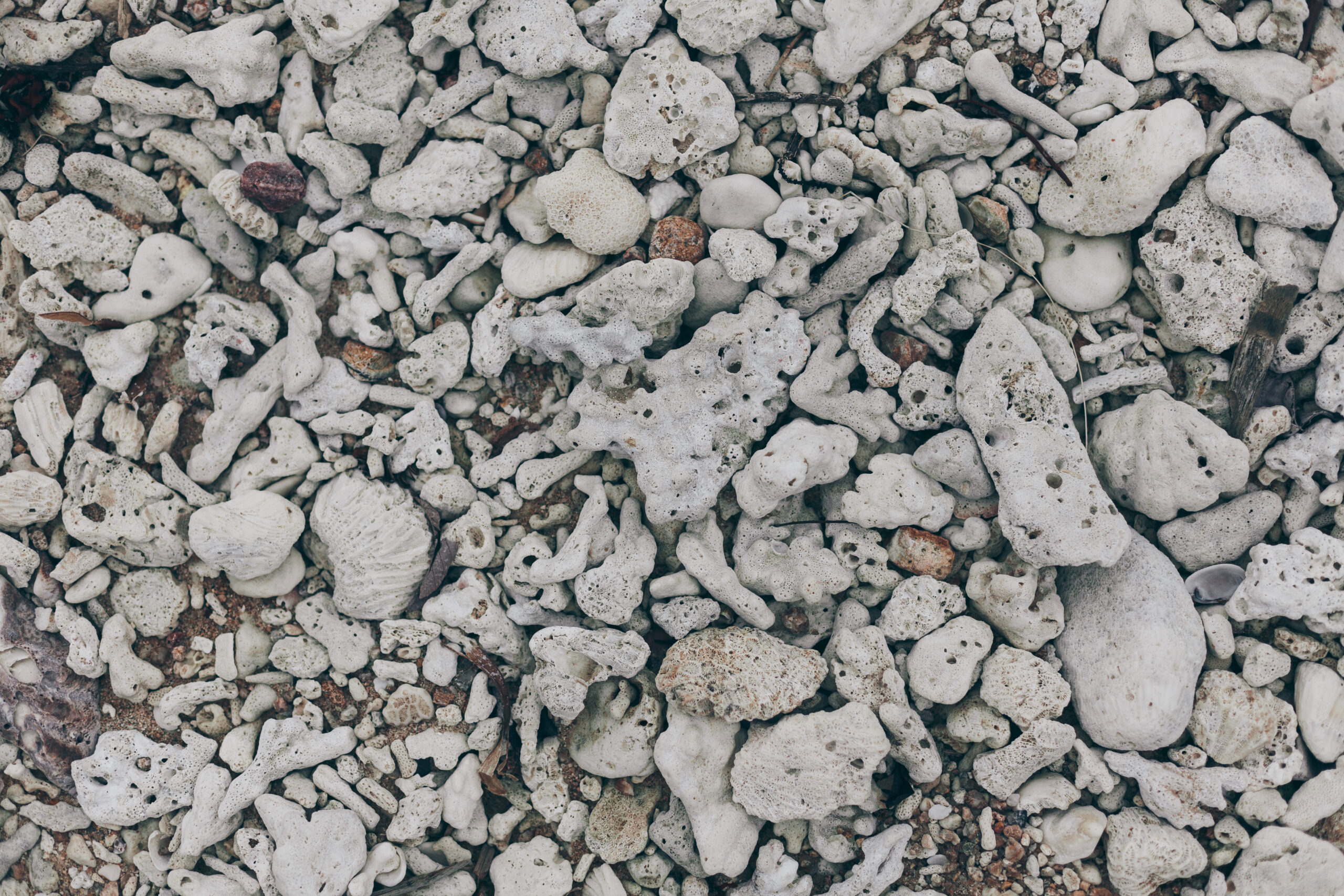 Sell Base Crushed Concrete